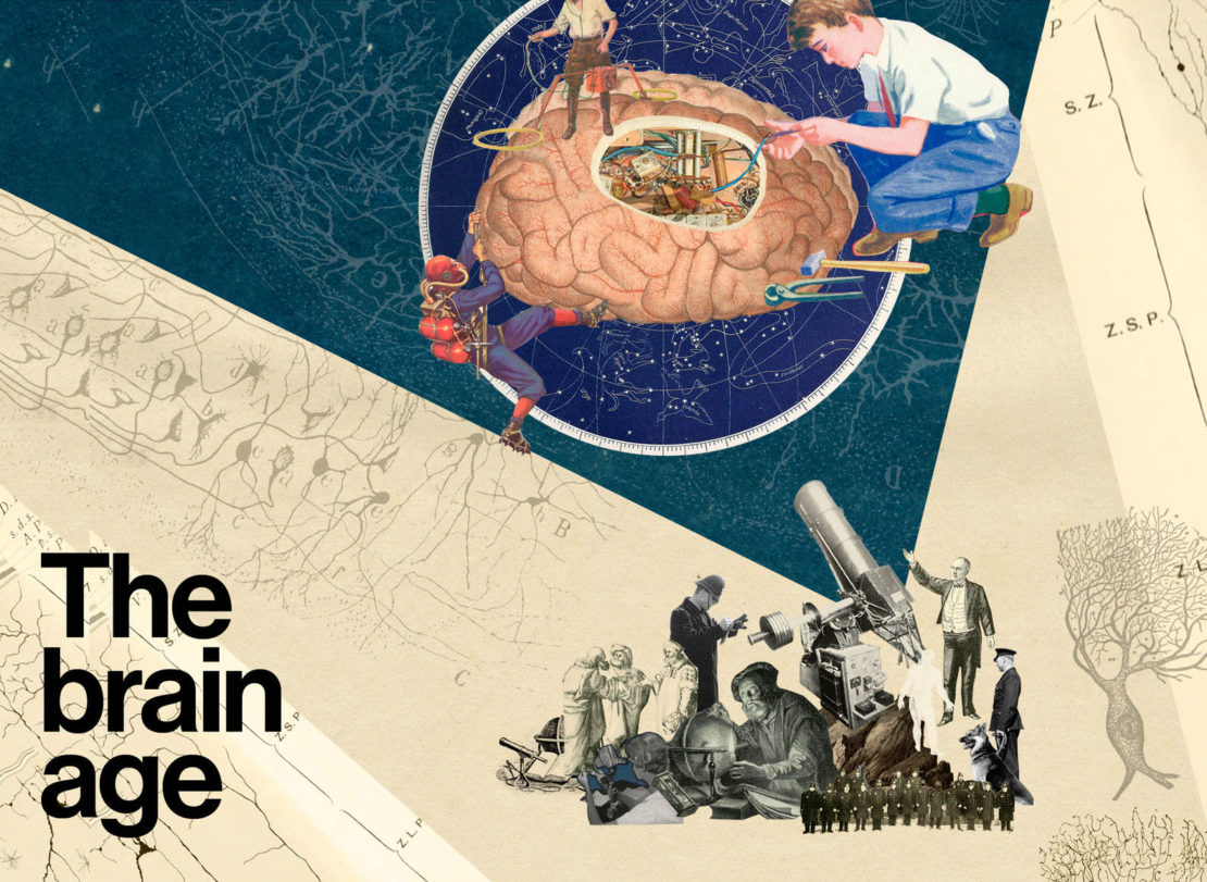 The brain age