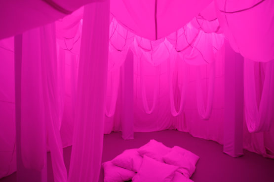 The hammock swing for sleeping in the Chronarium